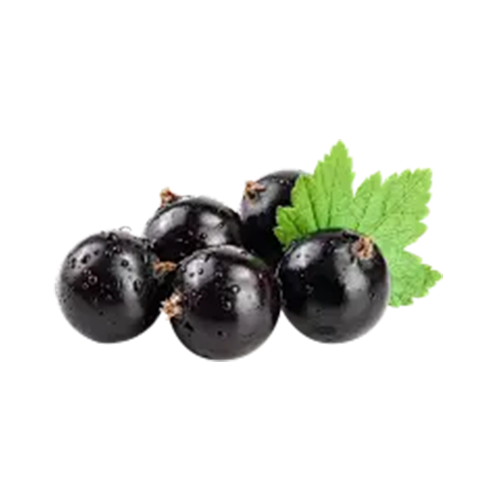 Blackcurrant