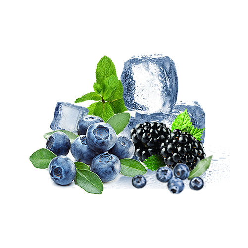 Blueberry Blackberry Ice