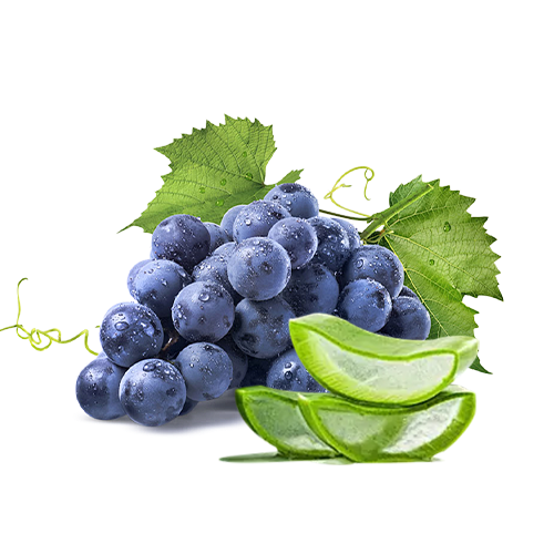 Aloe Grape