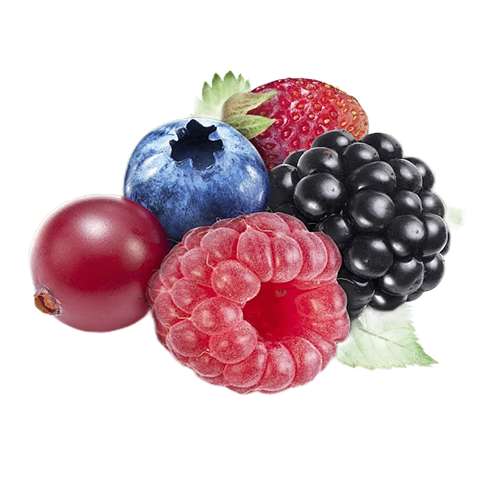 Quadberry Fusion